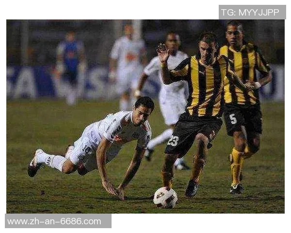 帕尔梅拉斯队与沙佩科恩斯的激烈对决展现巴西足球的魅力与激情